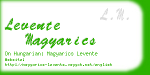 levente magyarics business card